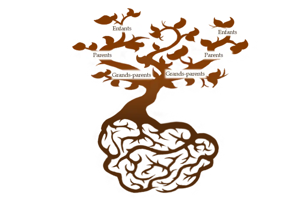 Illustration d'un arbre généalogique